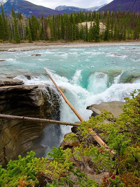 Blick auf den Athabasca Fluss während einer Wanderung im Jasper Nationalpark in Kanada.