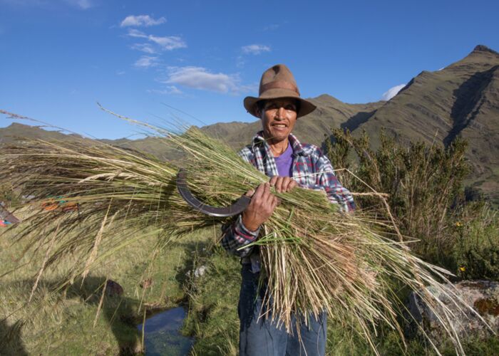 In Peru sind große Landstriche erschlossen durch die kleine Landwirtschaft
