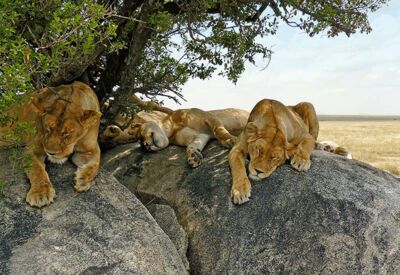 Nachhaltig reisen in Tanzania