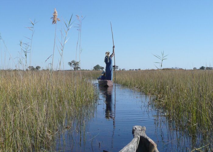 Ein Guide schippert uns sicher mit dem Einbaum über das Okavango-Delta