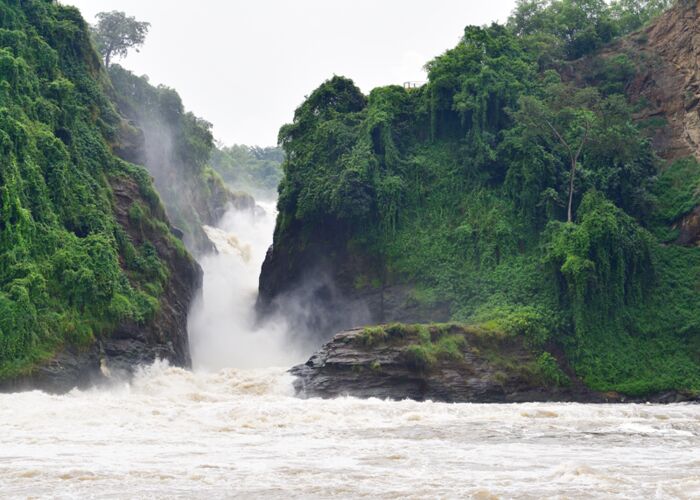 Mit einer Bootstour gelangen wir zu den bekannten Murchison Falls Wasserfällen