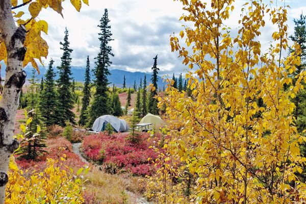 Trekking und Zelten in Alaska inmitten der Natur mit Tierbeobachtungsmöglichkeit