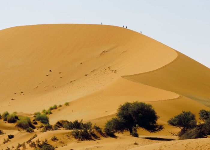 Von einer Wüstenfarm aus starten wir einen Tagesausflug zur Sossusvlei Düne