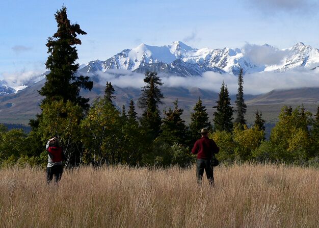 Wanderung durch Alaskas Wildnis mit Blick in die Alaska Range