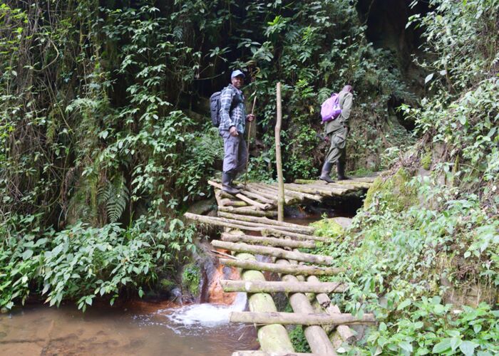 Einfache Brücken im Sarambwe Reservat