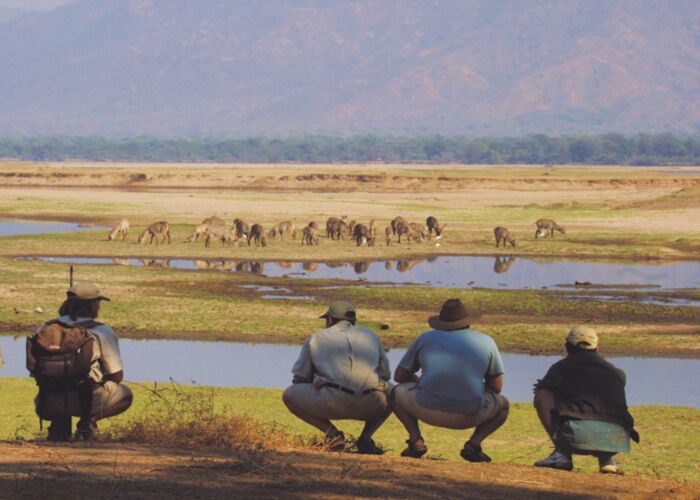 Die Ranger führen uns bei der Safari durch den Chobe Nationalpark an die besten Beobachtungsstellen