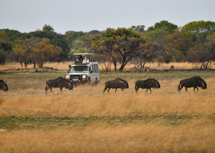 Tiersafari im Liuwa Plain Nationalpark