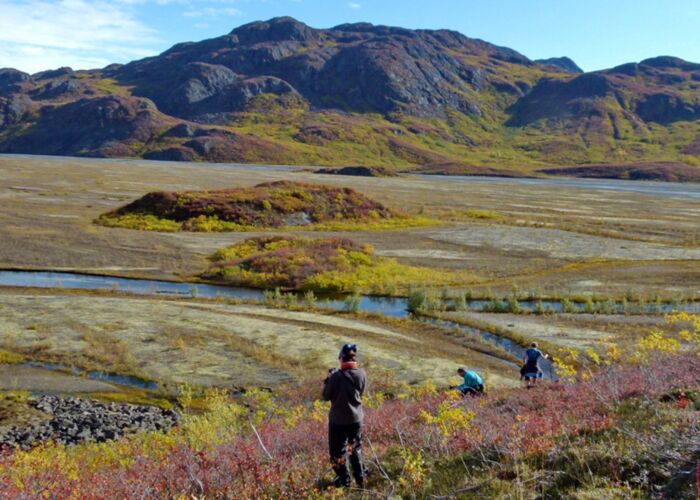Für Fotografen ist der Indian Summer in Alaska ein beliebtes Motiv