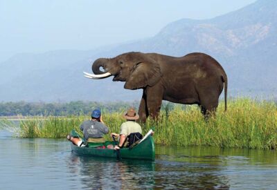 Eine besondere Möglichkeit, um Safari-Tieren nahe zu kommen ist eine Kanufahrt