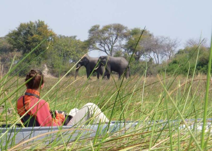 Im Okavango Delta kommen wir den Big Five Riesen vor allem mit dem Boot ganz nah