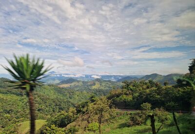 Panoramablick auf Monteverde während unserer Reise durch Costa Rica.