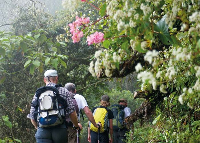 Die grüne Umgebung beim Trekking im Samaipata-Gebiet erfreut jeden Naturfreund