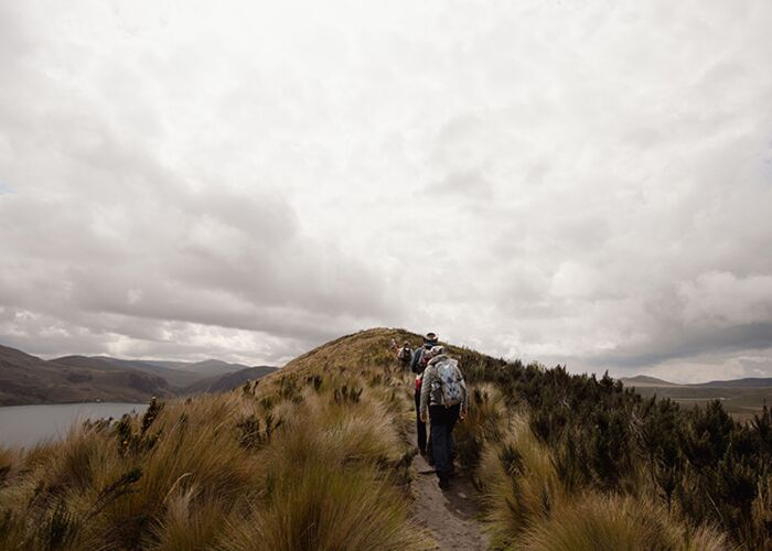 Entlang der Lagune wandern wir auf ca. 4.000 m in der Nähe des Antisana Vulkans