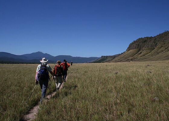 Trekking bei der Gruppenreise Venezuela Expedition