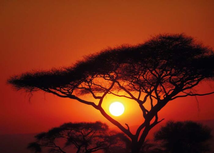 Ein schöner Safaritag klingt bei einem Sundowner in der Serengeti aus