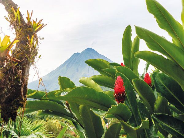Inmitten der grünen Vegetation Costa Ricas stehen große Vulkane