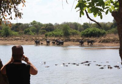 Auf Tiersafari durch den South Luangwa Nationalpark mit Pirschfahrten und Walking-Safaris