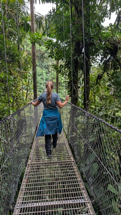 Der Nebelwald Monteverde in Costa Rica lässt sich durch die vielen typischen Hängebrücken optimal erleben.
