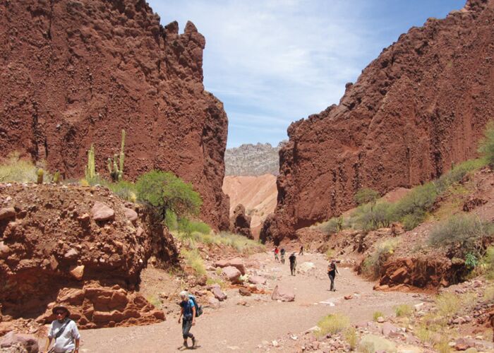 Rotes Sandsteingebirge und wilde Schluchten erwarten die Besucher in Cafayate