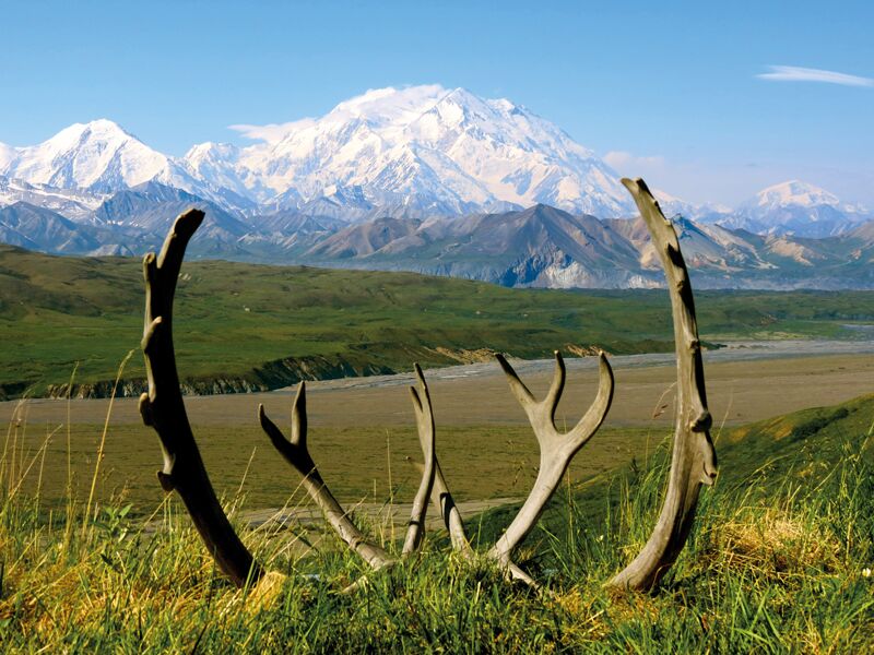 Die beste Reisezeit zum Trekking im Denali NP ist von Juni bis August