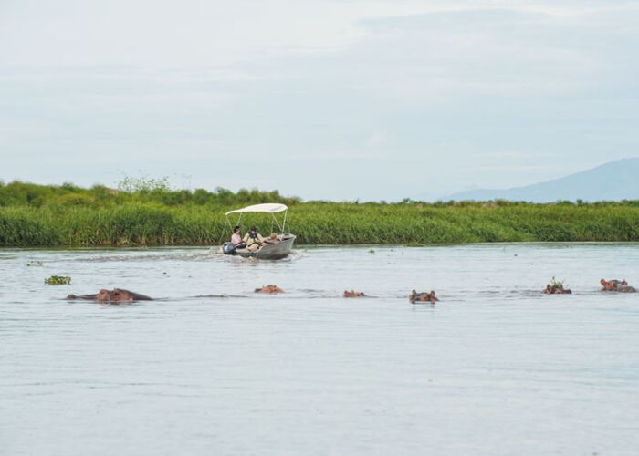 Bei einer Bootstour im Murchison Falls Nationalpark sichten wir Hippos