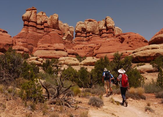 Die schönsten Wanderungen der USA sind im Canyonland Nationalpark zu finden