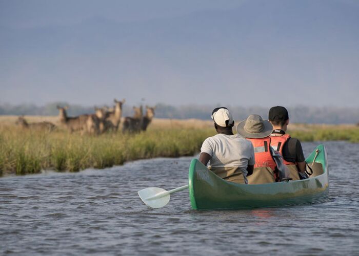 Geführte Kanuausflüge mit Safari auf dem Zambezi Fluss