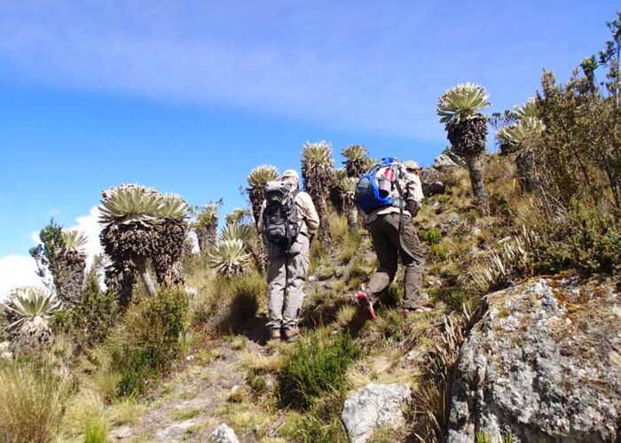 Eines der schönsten Trekkingtouren in Kolumbien ist durch die Paramonlandschaft in der Sierra Cocuy