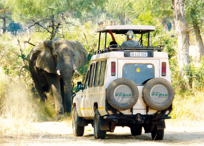 Eines der größten Safari-Erlebnisse in Zambia ist die Begegnung mit Elefanten