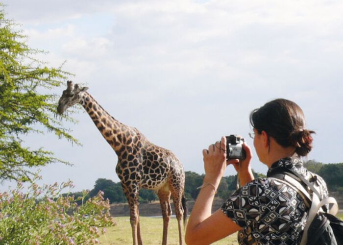 Safari-Erlebnis hautnah im Gonarezhou Nationalpark mit deutschsprachiger Reiseleitung