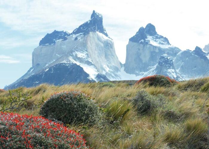 Ein Highlight der Patagonien Rundreise sind die Torres Spitzen