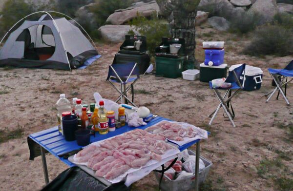 Nahe Bahia Los Angeles geniessen wir ein Picknick mitten in der Natur