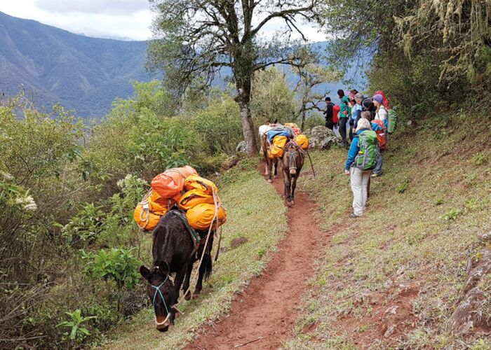 Mit der Trekkingruppe, Reiseleiter und Tragtieren unterwegs in den Anden Argentiniens