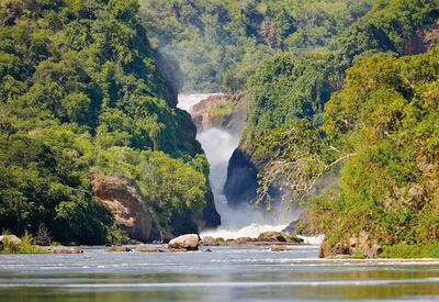 Ziel einer jeden Uganda Rundreise sind die Murchison Wasserfälle