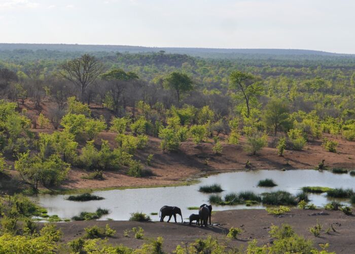 Die beste Reisezeit um Elefanten in Botswana zu beobachten ist im April und Oktober