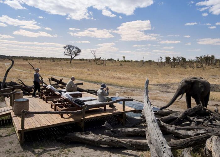 Im Hwange Nationalpark in Zimbabwe kommen uns Elefanten ganz nah...