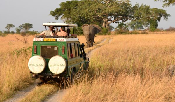 Die beste Reisezeit für eine Safari im Ishasha ist von Juni bis September