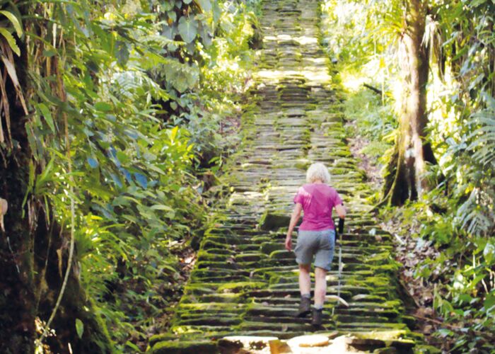 Über 1000 Stufen führen den Wanderer zur Ciudad Perdida