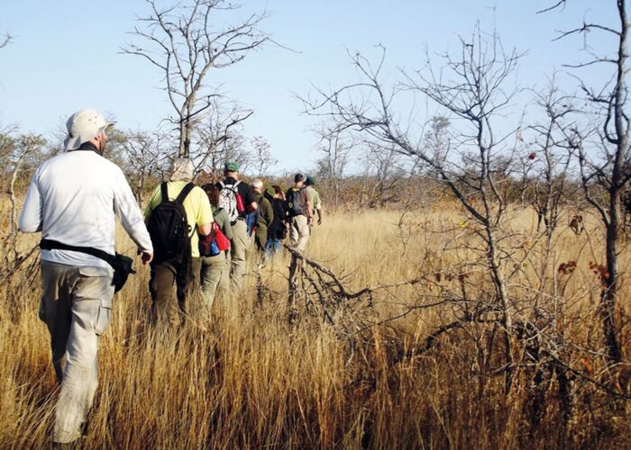 Im Gorongosa Nationalpark unternehmen wir eine geführte Walkingsafari