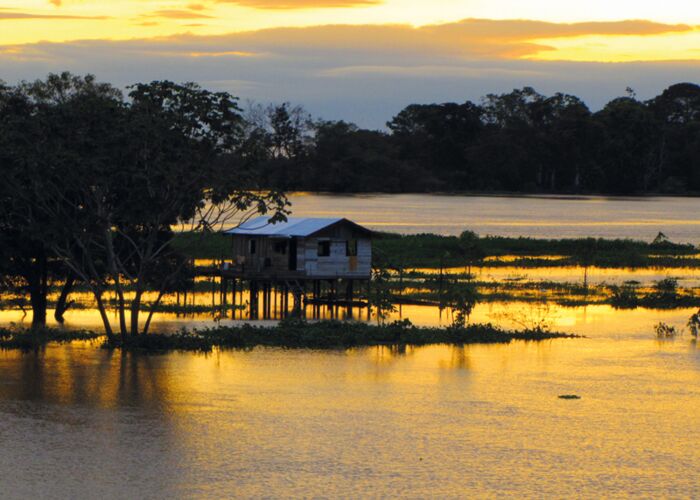 Guyana entdecken per Bootsausflug und geführter Dschungelexpedition
