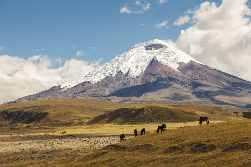 Der schneebedeckte Cotopaxi Vulkan ragt in seiner Kegelform über die Landschaft