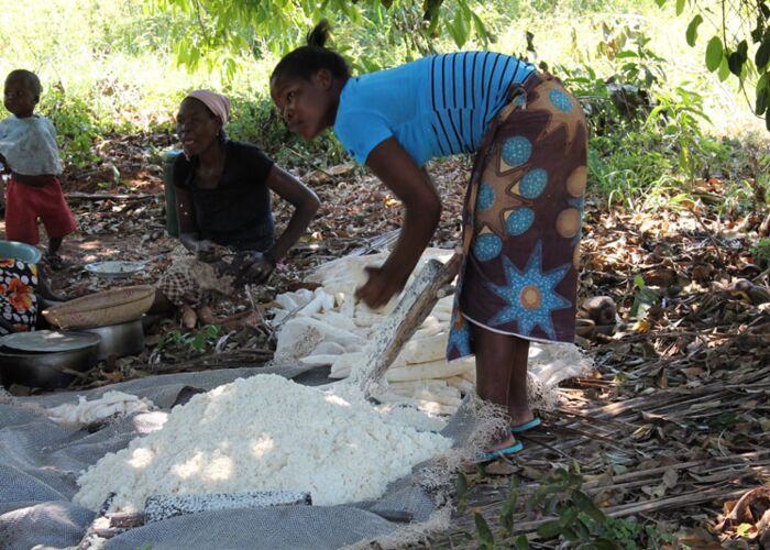 Frauen bei der Ernte zu Zubereitung von Speisen in Mosambik