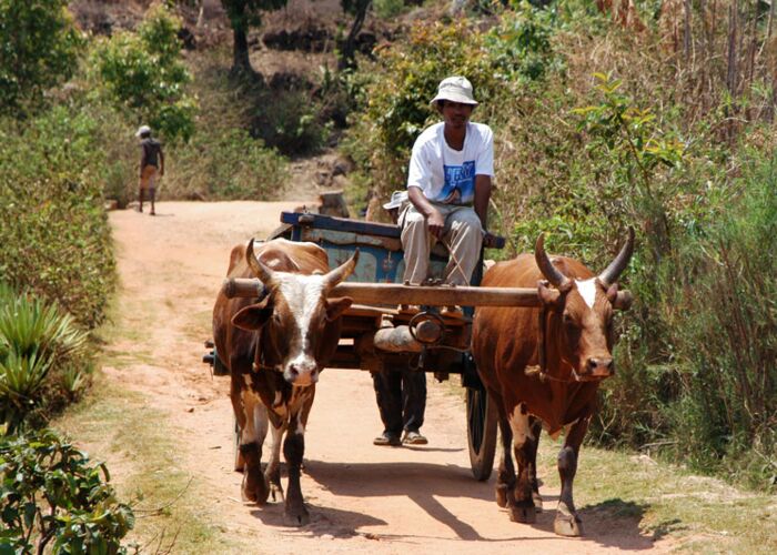 Bei der Madagaskar Reise lernen wir viel über die Kultur und die Lebensweise der Madagassen