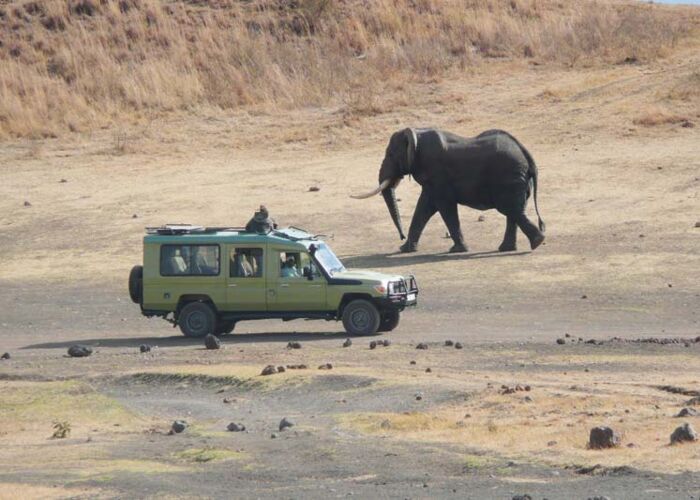 Bei der Zambia Safari sind wir mit Rangern in den Nationalparks unterwegs