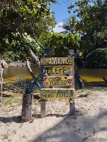 Karibikflair erleben wir in Choroni auf unserer Venezuelareise.