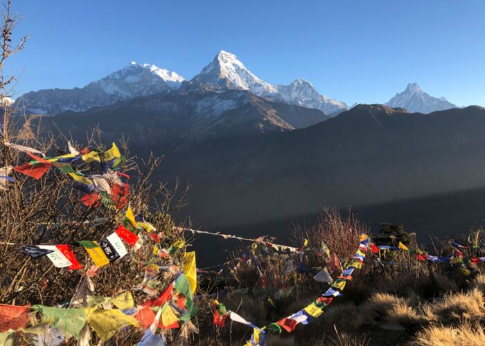 Wer ein Annapurna-Trekking unternimmt hat meist den Poon Hill als Ziel