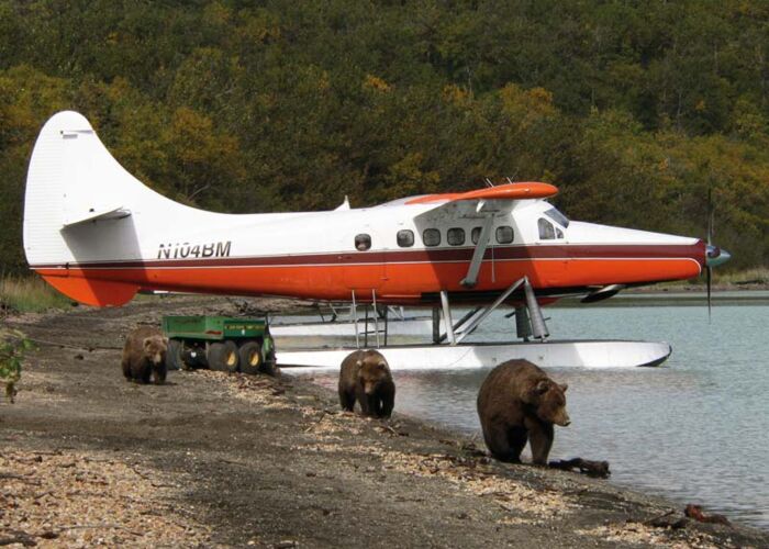 Die Anreise in den Katmai erfolgt durch ein Buschflieger