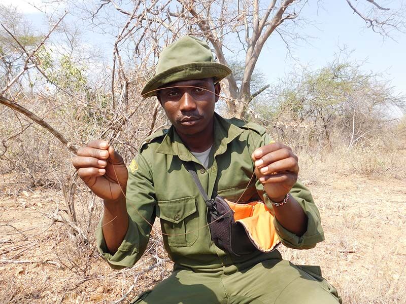 Wildhüter versuchen in Kenia, das Aussterben der Nashörner zu verhindern.