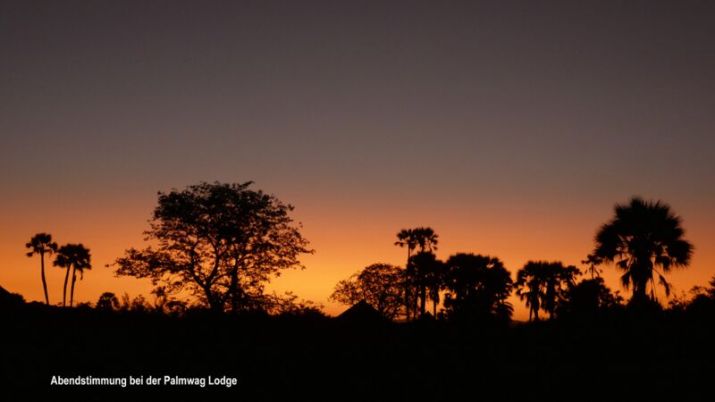 Ausklang eines tollen Reisetages mit Blick auf den Sonnenuntergang im Palmwag in Namibia
