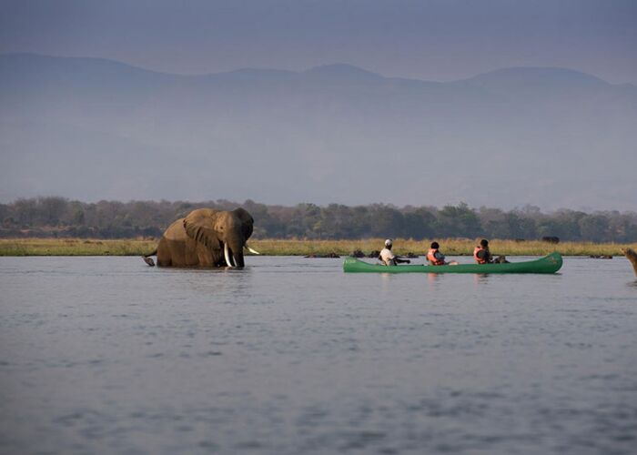Mit Kanus und Guides auf dem Zambezi unterwegs